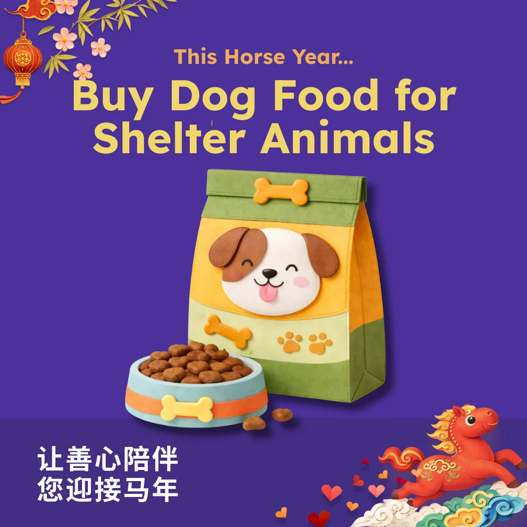 imagen de chiến dịch